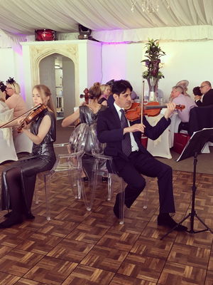 Event Garden String Quartet String Quartet London