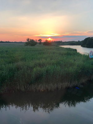 Event Mark Allen Wedding DJ Downham Market, Norfolk