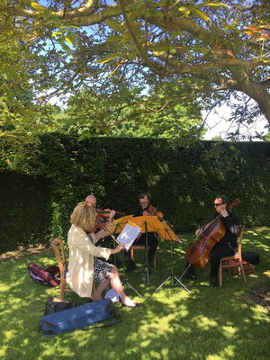 Hayley & Vinny's Wedding