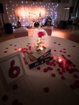 Event Little Miss Magic Function Band Cornwall