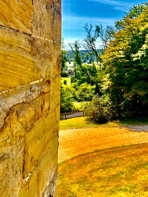 Event Gary Caribbean Steel Drums Steel Band Buckinghamshire