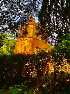 Event Gary Caribbean Steel Drums Steel Band Buckinghamshire