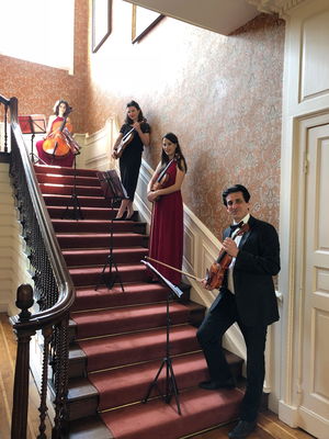 Event Garden String Quartet String Quartet London