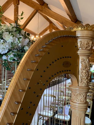 Event Rebecca The Harpist Harpist Greater Manchester