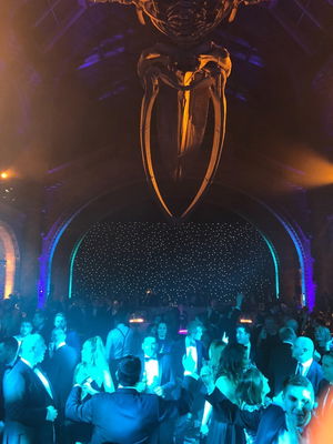 Event Seven Function Band London