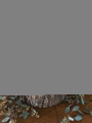 Event Steve Scott Wedding DJ Staffordshire