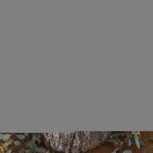 Steve Scott Wedding DJ Wedding Warwickshire