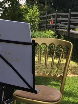 Event Strettone Quartet String Quartet London