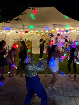 Event The London Violinist Electric Violinist London