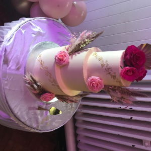 Martin H booked Steve Scott for their wedding in West Midlands Steve Scott Wedding DJ Review Wedding West Midlands