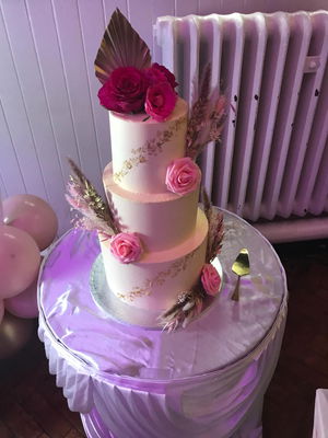 Event Steve Scott Wedding DJ Staffordshire