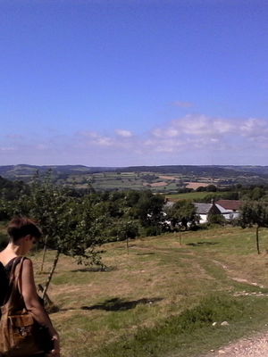 Event Egeria Strings String Quartet Surrey