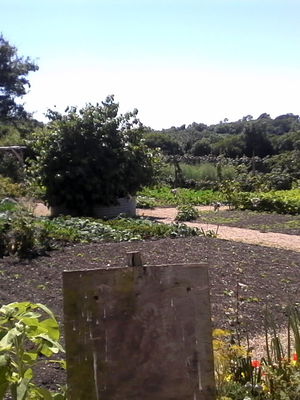 Event Egeria Strings String Quartet Surrey