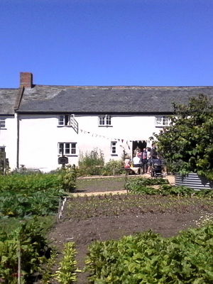 Event Egeria Strings String Quartet Surrey