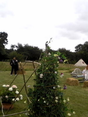 Event Egeria Strings String Quartet Surrey