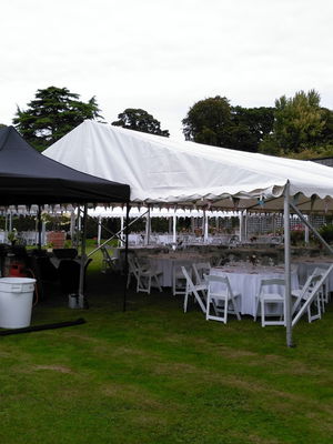 Event DTC Piano Pianist Stirlingshire