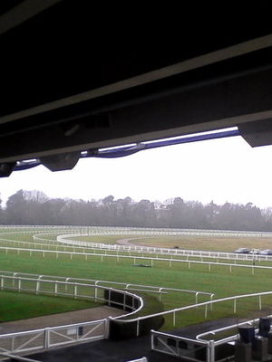 Event Egeria Strings String Quartet Surrey