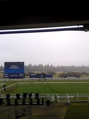 Event Egeria Strings String Quartet Surrey