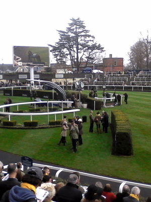 Event Egeria Strings String Quartet Surrey