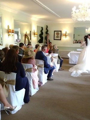 Event M F Harp (Harpist) Harpist Bristol, Somerset