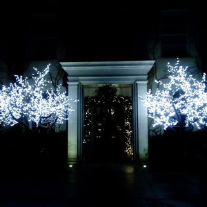 Private Party in Hampshire