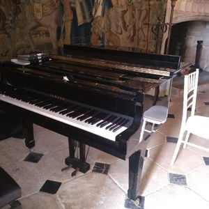 Lee Mathews Pianist Wedding Berkshire