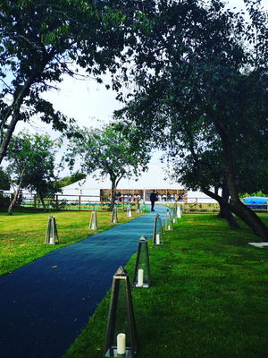 Event Calithea String Quartet String Quartet London