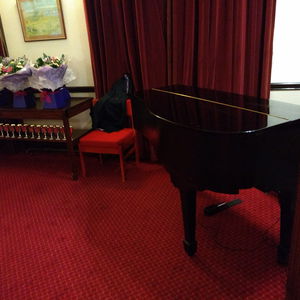 Lee Mathews Pianist HM Forces / Army / Navy / RAF Event North Yorkshire