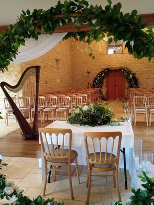 Event Scarlett Harp Harpist Bristol