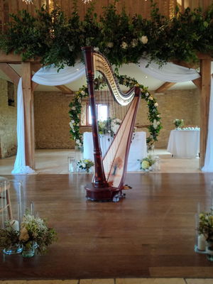 Event Scarlett Harp Harpist Bristol