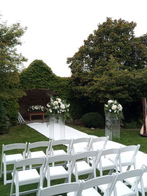 Event Scarlett Harp Harpist Bristol