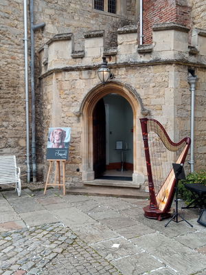 Event Scarlett Harp Harpist Bristol