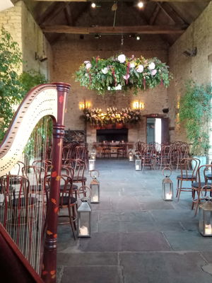 Event Scarlett Harp Harpist Bristol