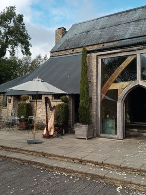 Event Scarlett Harp Harpist Bristol