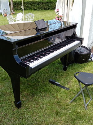 Event Lee Mathews Pianist London