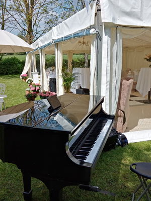 Event Lee Mathews Pianist London