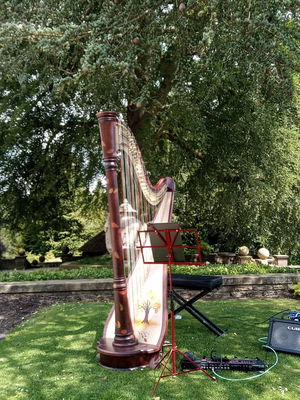 Event Scarlett Harp Harpist Bristol