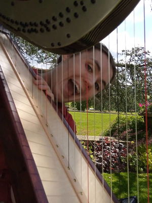 Event Scarlett Harp Harpist Bristol