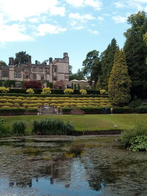 Event Scarlett Harp Harpist Bristol