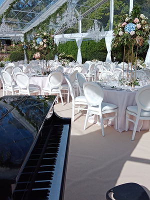 Event Lee Mathews Pianist London