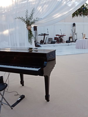 Event Lee Mathews Pianist London