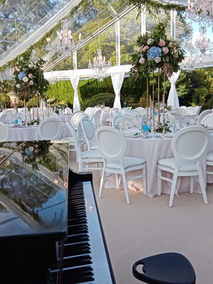 Event Lee Mathews Pianist London