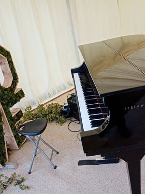 Event Lee Mathews Pianist London