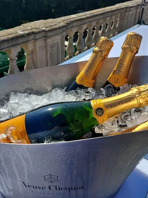 Event Calithea String Quartet String Quartet London