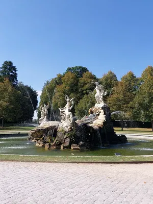 Event Calithea String Quartet String Quartet London