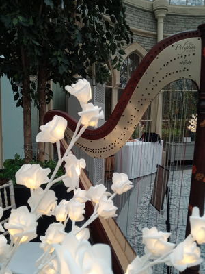 Event Scarlett Harp Harpist Bristol