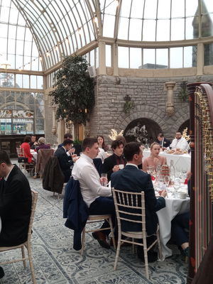 Event Scarlett Harp Harpist Bristol