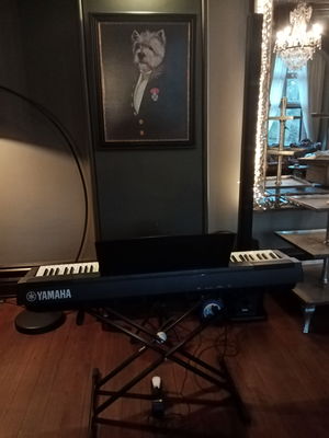 Event Lee Mathews Pianist London