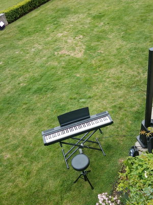 Event Lee Mathews Pianist London