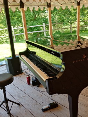 Event Lee Mathews Pianist London